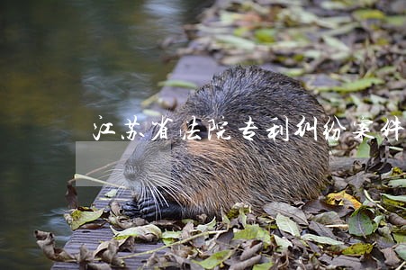 江苏省法院专利纠纷案件管辖权 江苏省法院专利纠纷案件管辖权