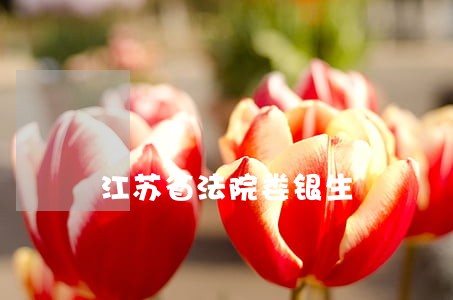 江苏省法院娄银生 江苏省法院娄银生