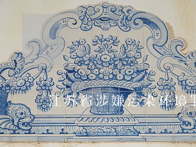江苏省涉嫌污染环境罪律师团队