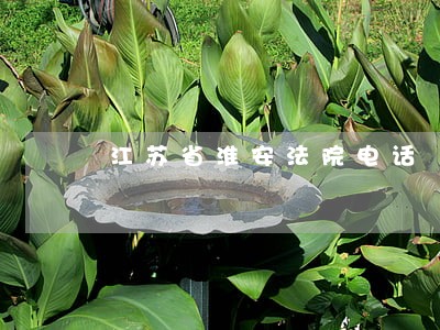 江苏省淮安法院电话