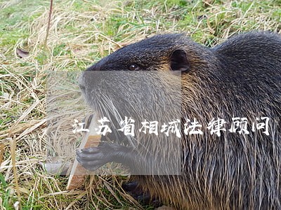 江苏省相城法律顾问 江苏省相城法律顾问
