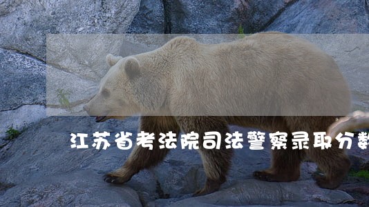 江苏省考法院司法警察录取分数线