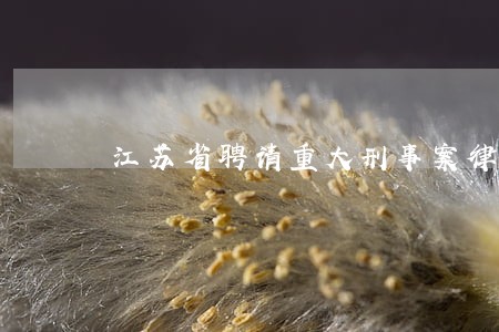 江苏省聘请重大刑事案律师多少钱