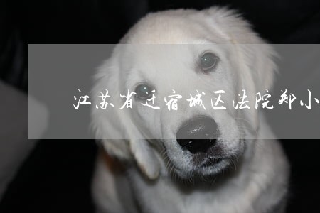 江苏省迁宿城区法院郑小苗简历 江苏省迁宿城区法院郑小苗简历