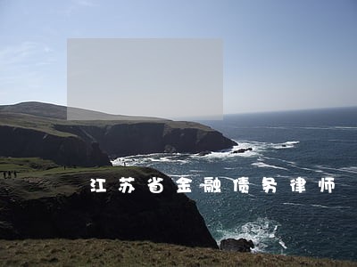 江苏省金融债务律师 江苏省金融债务律师