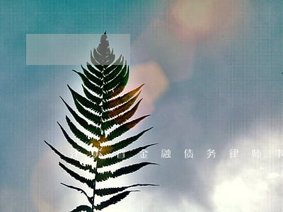 江苏省金融债务律师事务所 江苏省金融债务律师事务所
