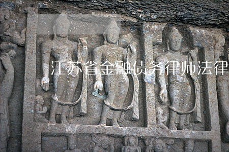 江苏省金融债务律师法律咨询 江苏省金融债务律师法律咨询