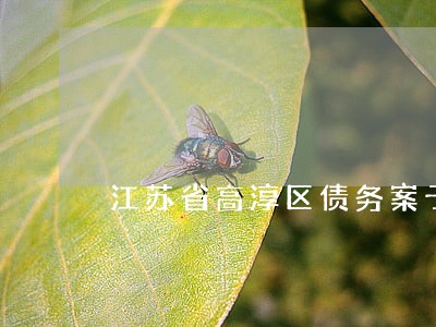 江苏省高淳区债务案子律师 江苏省高淳区债务案子律师