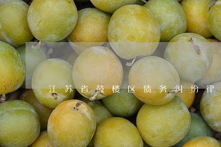 江苏省鼓楼区债务纠纷律师 江苏省鼓楼区债务纠纷律师