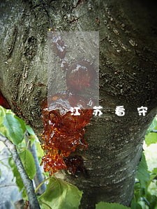 江苏看守所律师哪家合适 江苏看守所律师哪家合适