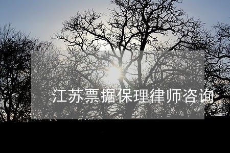 江苏票据保理律师咨询 江苏票据保理律师咨询