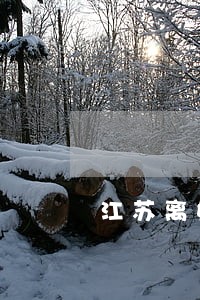 江苏离婚律师价格 江苏离婚律师价格