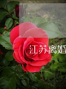 江苏离婚财产分割律师电话 江苏离婚财产分割律师电话