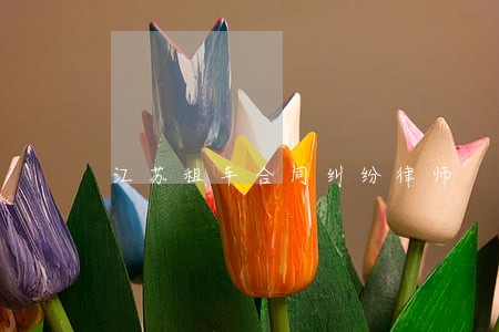 江苏租车合同纠纷律师 江苏租车合同纠纷律师