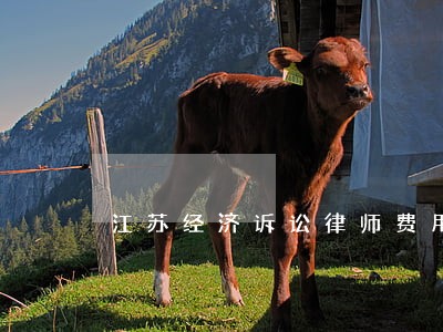 江苏经济诉讼律师费用 江苏经济诉讼律师费用