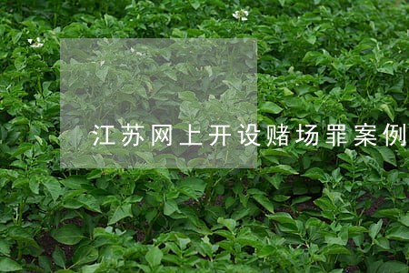 江苏网上开设赌场罪案例的判决 江苏网上开设赌场罪案例的判决