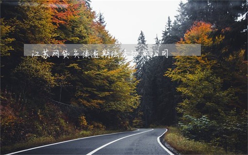 江苏网贷负债逾期法务协商公司