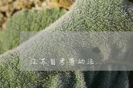 江苏自考劳动法