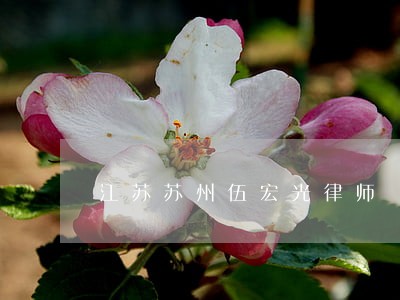 江苏苏州伍宏光律师