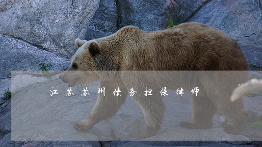 江苏苏州债务担保律师