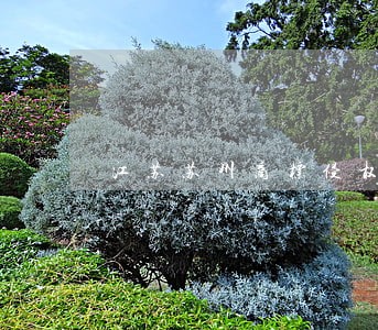 江苏苏州商标侵权律师推荐 江苏苏州商标侵权律师推荐