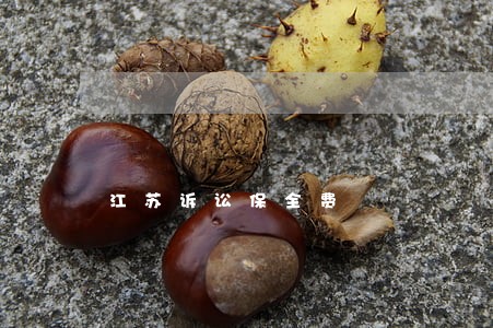 江苏诉讼保全费 江苏诉讼保全费