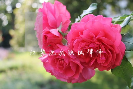 江苏说我试试律师 江苏说我试试律师