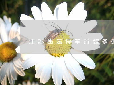 江苏违法停车罚款多少 江苏违法停车罚款多少
