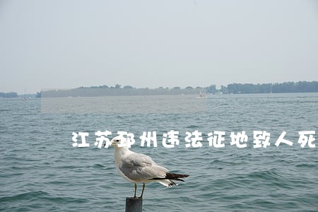 江苏邳州违法征地致人死亡案一审 江苏邳州违法征地致人死亡案一审