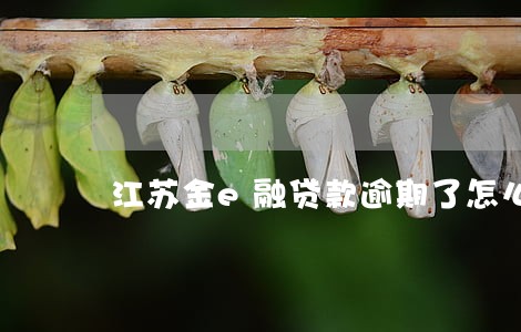 江苏金e融贷款逾期了怎么办 江苏金e融贷款逾期了怎么办