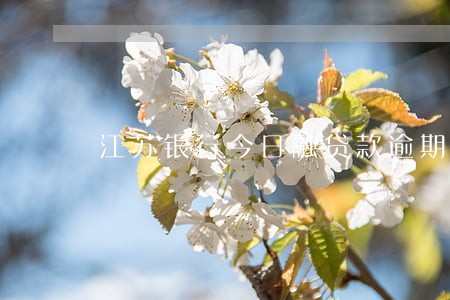 江苏银行今日融贷款逾期 江苏银行今日融贷款逾期