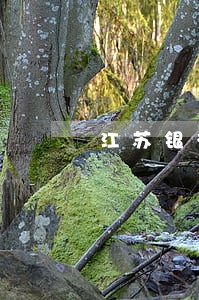 江苏银行信用卡逾期20天 江苏银行信用卡逾期20天