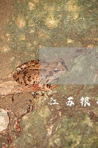 江苏银行信用卡逾期两年 江苏银行信用卡逾期两年
