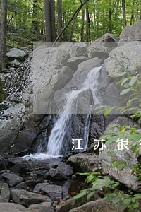 江苏银行信用卡逾期从哪还款