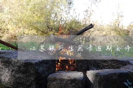 江苏银行信用卡逾期会停卡吗 江苏银行信用卡逾期会停卡吗
