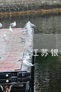 江苏银行信用卡逾期半年了 江苏银行信用卡逾期半年了
