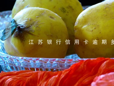 江苏银行信用卡逾期多久打电话