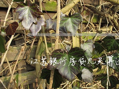 江苏银行房贷几天算逾期 江苏银行房贷几天算逾期