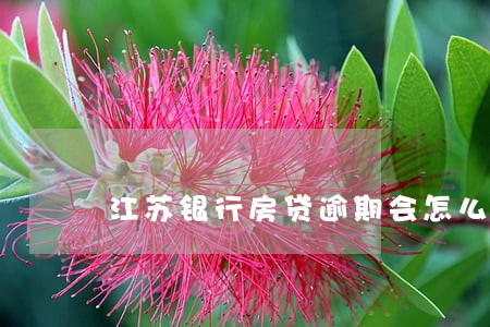 江苏银行房贷逾期会怎么样 江苏银行房贷逾期会怎么样
