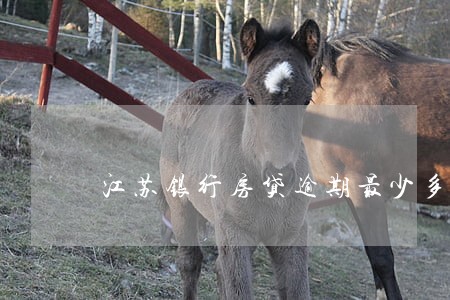 江苏银行房贷逾期最少多少年 江苏银行房贷逾期最少多少年