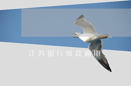 江苏银行放款逾期 江苏银行放款逾期
