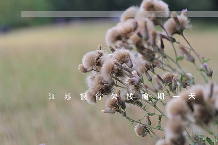 江苏银行欠钱逾期一天 江苏银行欠钱逾期一天