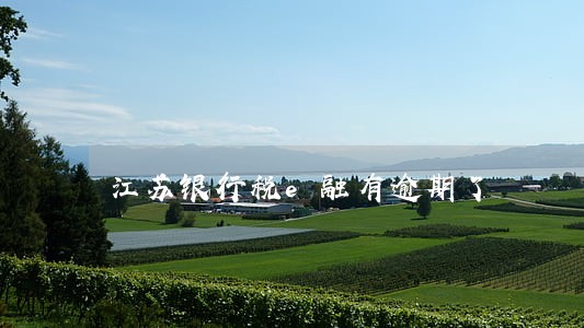江苏银行税e融有逾期了 江苏银行税e融有逾期了
