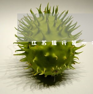 江苏银行第一次逾期 江苏银行第一次逾期