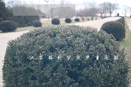 江苏银行贷款严重逾期