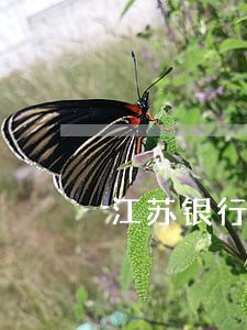 江苏银行贷款逾期被起诉 江苏银行贷款逾期被起诉
