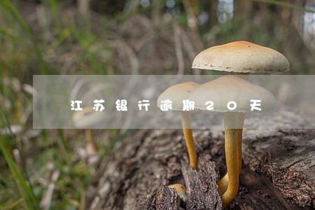 江苏银行逾期20天 江苏银行逾期20天