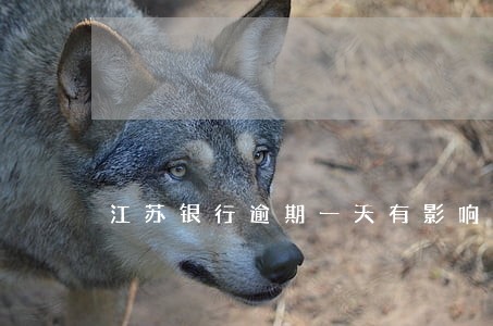 江苏银行逾期一天有影响吗 江苏银行逾期一天有影响吗