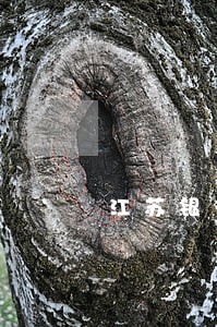 江苏银行逾期一天申诉会上征信么 江苏银行逾期一天申诉会上征信么