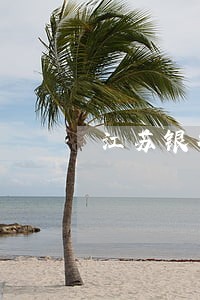 江苏银行逾期两月上征信记录吗 江苏银行逾期两月上征信记录吗